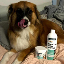 Load image into Gallery viewer, WELLNERGY PETS DENTAL CARE COMBO PACK
